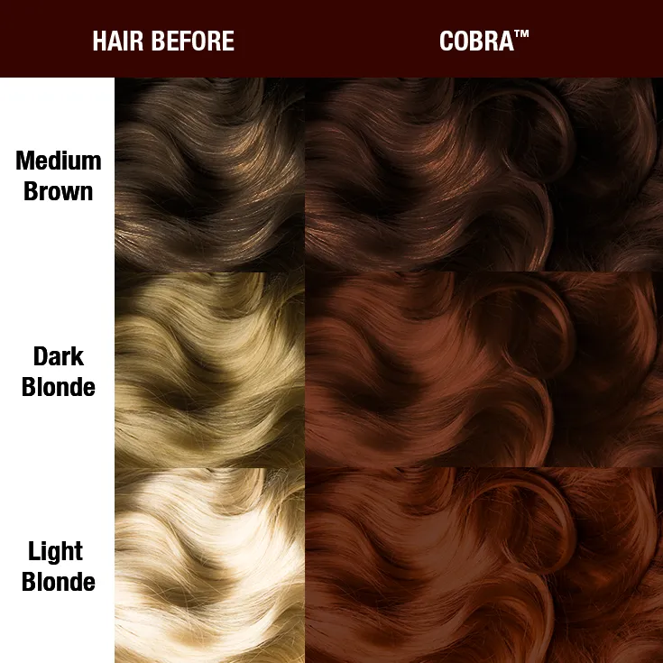 Cobra® Hair & Nail Color Bundle - Image 3